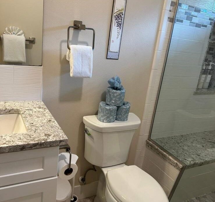 Bathroom Cleaning